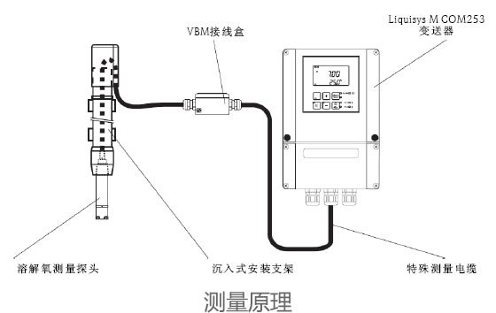 德国E+H – COM253通用型溶解氧测量变送器