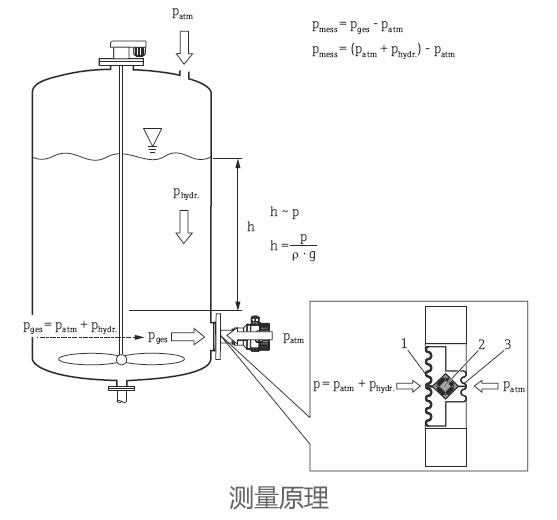 德国E+H – FMB51静压式液位开关/液位计