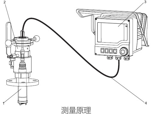 德国E+H – COS61溶解氧传感器